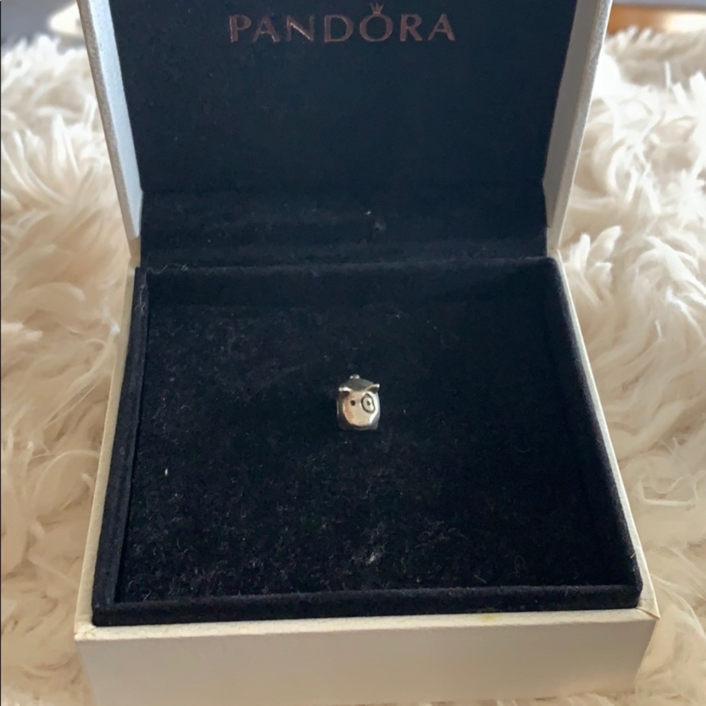 Pandora Dog Charm